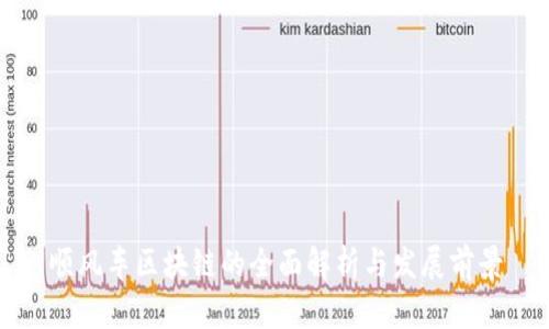 顺风车区块链的全面解析与发展前景