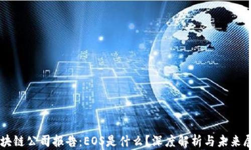
区块链公司报告：EOS是什么？深度解析与未来展望