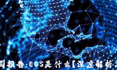 
区块链公司报告：EOS是什么？深度解析与未来展望
